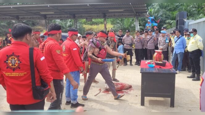 
					Ritual penyembelihan babi aksi demonstrasi warga Sujau di halaman Perusahaan Perkebunan Kelapa Sawit PT Nunukan Bara Sukses (NBS)