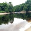 Sungai Seimanggaris yang menjadi lokasi tenggelamnya buruh PT NJL asal Kupang NTT, Roni Atonis (23).