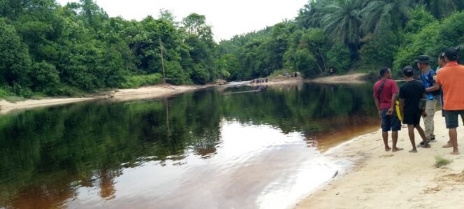 
					Sungai Seimanggaris yang menjadi lokasi tenggelamnya buruh PT NJL asal Kupang NTT, Roni Atonis (23).