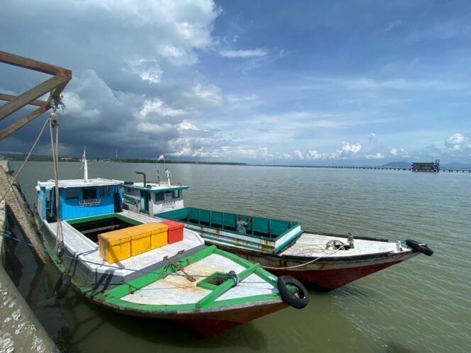 
					Kapal kayu/jongkong yang menjadi angkutan ekspor ikan ke Tawau Malaysia