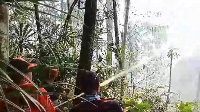 
					Aksi petugas saat melakukan pemadaman kebakaran Hutan Desa Pulau Keras, Sembakung Atulai