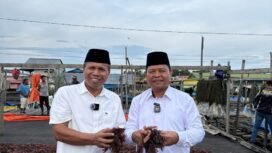Paslon BAHAGIA saat meninjau kualitas dan produksi rumput laut di agenda kampanyenya