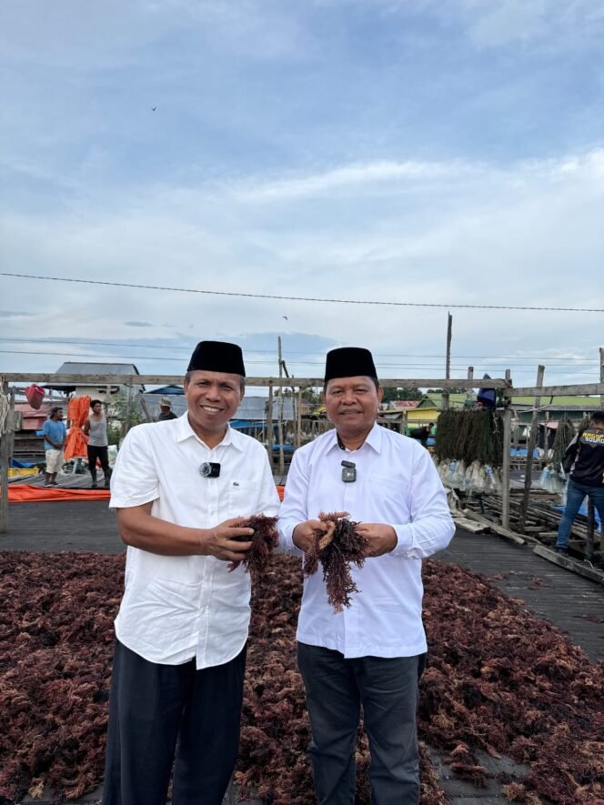 
					Paslon BAHAGIA saat meninjau kualitas dan produksi rumput laut di agenda kampanyenya