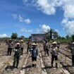 Upaya Pemprov Kaltara mendukung ketahanan pangan nasional,