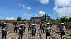 Upaya Pemprov Kaltara mendukung ketahanan pangan nasional,