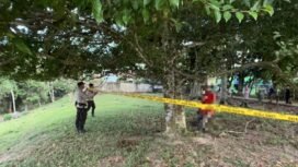 TKI deportasi asal Sulbar, ditemukan bunuh diri setelah sebelumnya kabur karena tak mau dipulangkan ke kampung halamannya,
