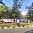 Bawaslu Nunukan mencopot tiga spanduk Paslon Gubernur Kaltara yang terpasang di deretan pohon di depan komplek perkantoran GADIS Nunukan Selatan,