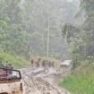 Gambaran akses di Krayan. Jalanan utama masih menjadi masalah utama sampai hari ini.