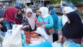 Tim Penggerak Pemberdayaan Kesejahteraan Keluarga (TP-PKK) Kaltara dan DKPP Kabupaten Nunukan, melaksanakan Gerakan Pangan Murah (GPM) serentak pada 2 lokasi, yaitu alun-alun Nunukan dan Kelurahan Mamolo Nunukan Selatan, Minggu (15/12/2024).