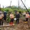 Pengakap Malaysia Cawangan Sabah, bersama Gerakan Pramuka Kwartir Daerah (Kwarda) Kalimantan Utara, melaksanakan kegiatan penanaman pohon mangrove dan pohon produktif di Desa Argo Mulyo, Kecamatan Tanjung Palas Utara, Bulungan, Sabtu (14/12/2024).