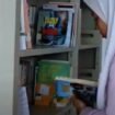 Kaltara duduk di peringkat 6 dari 38 provinsi di Nusantara.