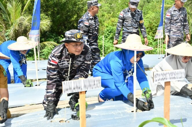 
					Danlanal Nunukan Kolonel Laut (P) Handoyo menanam benih cabai dalam program ketahanan pangan di perbatasan RI,