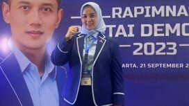 Ketua DPC Demokrat Nunukan, Kaltara, Andi Maryati,