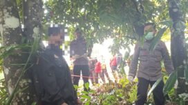 Wasmanudin (30) butuh PT AHL yang ditemukan tewas gantung diri di pohon Cempedak,