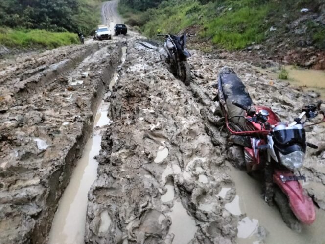 
					Kondisi jalan utama di dataran tinggi Krayan. Jalanan menjelma lumpur dan sulit dilewati kendaraan, mengakibatkan harga Sembako melambung dan suplay BBM PLTD terancam tak bisa masuk.