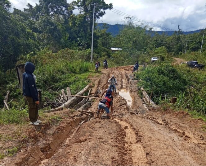 
					Masyarakat Desa Kurid, Krayan Barat kesulitan melewati jembatan yang lapuk dan amblas akibat banjir,