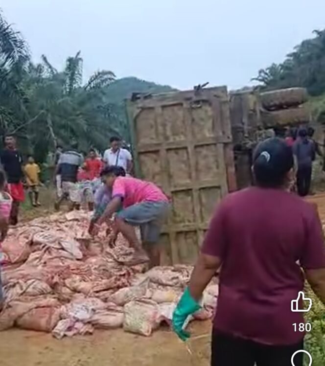 
					Truk pengangkut pupuk PT KHL terguling akibat as roda patah di tanjakan, Minggu (23/2/2025). Tiga korban dilarikan ke RSUD Malinau akibat insiden ini.