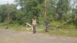 Polisi mendatangi TKP pohon roboh yang menimpa pengendara motor,