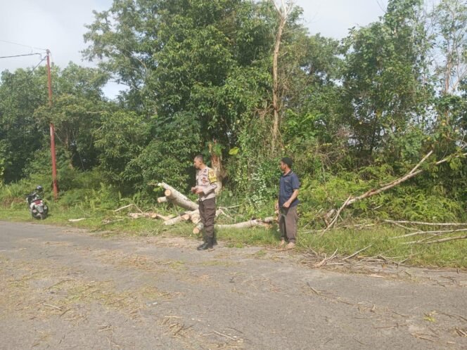 
					Polisi mendatangi TKP pohon roboh yang menimpa pengendara motor, 