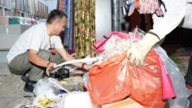 Wakil Bupati Nunukan, Hermanus, ikut terjun ke lapangan, membantu mengumpulkan sampah berserak, bersama petugas kebersihan. Ia berharap masyarakat sadar kebersihan dan menjaga lingkungan,