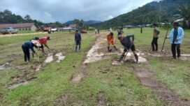 Masyarakat Krayan Selatan bergotong royong perbaiki landasan pacu Bandara Tang La'an. Runway ini akan menjadi alternatif bagi pesawat MAF selagi menunggu perbaikan di runway Bandara Buduk Sia, Long Layu,