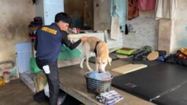 Anjing pelacak K9 dilibatkan dalam razia barang terlarang dan deteksi dini narkoba dalam Lapas,