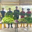 Panen raya Lapas Nunukan. Hasilkan 125 Kg sayur mayur segar. Program pengembangan pertanian bagi WBP diharap menjadi bekal pasca menyelesaikan masa pidana.