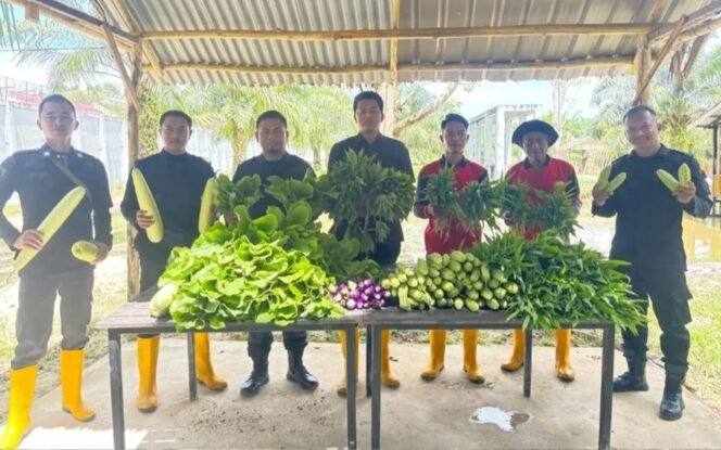 
					Panen raya Lapas Nunukan. Hasilkan 125 Kg sayur mayur segar. Program pengembangan pertanian bagi WBP diharap menjadi bekal pasca menyelesaikan masa pidana.