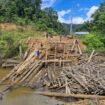 Kondisi Jembatan Poros Simpang Lembudud - Kurid, di Krayan Barat yang terputus akibat banjir. Masyarakat 6 Desa tak bisa beraktifitas, sampai akhirnya Bupati Nunukan, Irwan Sabri memerintahkan pembangunan jembatan darurat.