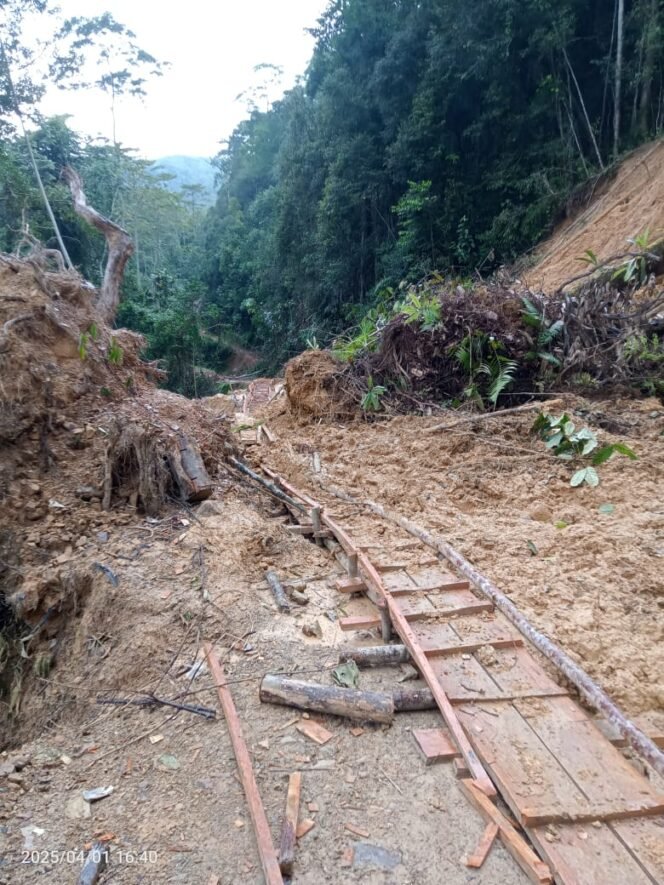 
					Jalan alternatif untuk sepeda motor yang dikerjakan warga di Krayan secara gotong royong. Kini jalan tersebut hilang karena kembali tertimbun longsor susulan.