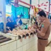 Petugas DKUKMPP Nunukan, Abdul Rahman, memantau harga pasar yang tak kunjung stabil pasca Idul Fitri 1446 H,