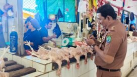 Petugas DKUKMPP Nunukan, Abdul Rahman, memantau harga pasar yang tak kunjung stabil pasca Idul Fitri 1446 H,