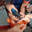 Aksi petugas Damkar Nunukan mengeluarkan plastik berbentuk cincin dari jari Nurul (12) murid MI Raudhotut Tarbiyah, Jumat (11/4/2024) - Dok.Disdamkar Nunukan.