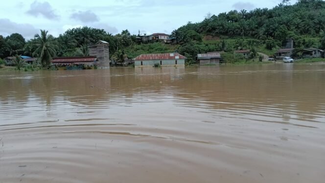
					Banjir di wilayah Desa Kalunsayan, Tulin Onsoi,