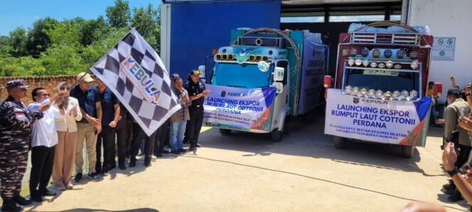 
					Wakil Bupati Nunukan, Hermanus melaunching ekspor rumput laut perdana ke Korea Selatan oleh PT Kebula Raya Bestari, Minggu (25/5/2025).