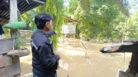 Warga menunjukkan lokasi serangan buaya yang menewaskan seorang IRT di Sembakung Atulai,