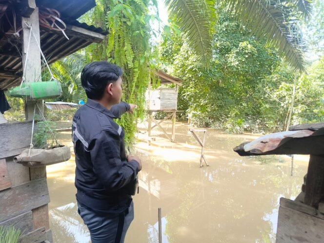 
					Warga menunjukkan lokasi serangan buaya yang menewaskan seorang IRT di Sembakung Atulai,