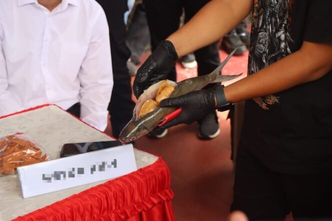 
					Polisi menunjukkan barang bukti sabu sabu dalam perut ikan, pada jumpa pers di Mapolres Tarakan, Sabtu (10/5/2025). Sabu sabu sebanyak 60 bungkus atau seberat 3,2 Kg dibawa ke Pinrang Sulsel menggunakan KM Bukit Siguntang,