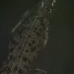 Buaya berkeliaran di kolong rumah warga pesisir di Jalan Manunggal Bhakti. Warga diimbau waspada, 