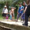 Petugas Damkar menangkap buaya remaja yang dilaporkan sering masuk pekarangan rumah warga Desa Seberang, Sebatik Utara,