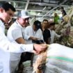 Bupati Nunukan, Irwan Sabri melaunching pengiriman perdana 30 ton rumput laut ke Pinrang, Sulsel dalam upaya memperbaiki harga rumput laut, Dok.Prokopim.