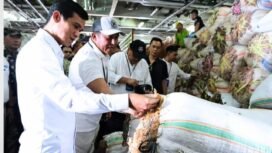 Bupati Nunukan, Irwan Sabri melaunching pengiriman perdana 30 ton rumput laut ke Pinrang, Sulsel dalam upaya memperbaiki harga rumput laut, Dok.Prokopim.