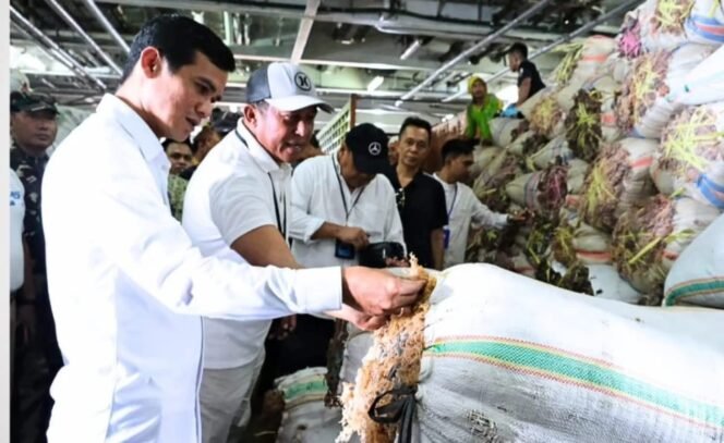 
					Bupati Nunukan, Irwan Sabri melaunching pengiriman perdana 30 ton rumput laut ke Pinrang, Sulsel dalam upaya memperbaiki harga rumput laut, Dok.Prokopim.