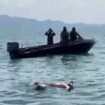 Prajurit TNI AL Nunukan berhasil menemukan korban terakhir dari kapal pemuat Sembako Malaysia yang karam di Perairan Tanjung Aru, Sebatik, pada Sabtu (19/7/2025) sekitar pukul 23.00 wita, Dok.Penerangan LANAL Nunukan.
