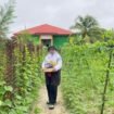 Kades Srinanti, Kecamatan Seimanggaris, Rusmini Hakim,