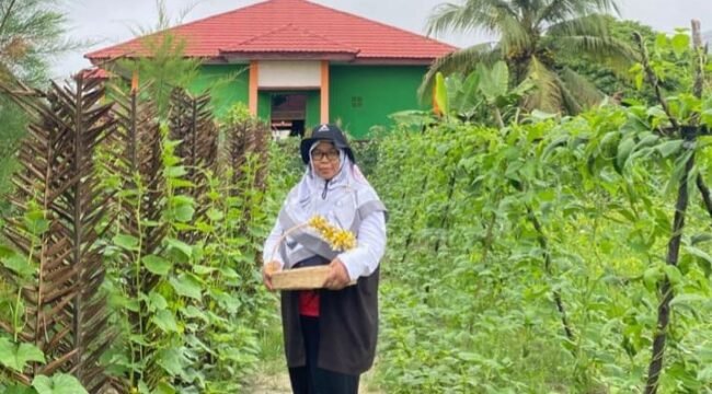 Kades Srinanti, Kecamatan Seimanggaris, Rusmini Hakim,