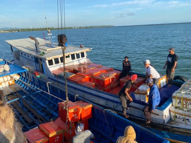 
					Ilustrasi : Aktifitas bongkar muat ikan ekspor di SKPT Sebatik.