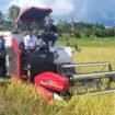 Bupati Nunukan, Kalimantan Utara, Irwan Sabri, menaiki combine harvester (alat pemanen padi) untuk memulai panen raya di persawahan Desa Binalawan, Pulau Sebatik, Rabu (10/9/2025).