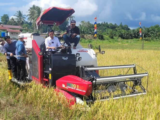 
					Bupati Nunukan, Kalimantan Utara, Irwan Sabri, menaiki combine harvester (alat pemanen padi) untuk memulai panen raya di persawahan Desa Binalawan, Pulau Sebatik, Rabu (10/9/2025).