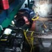 Petugas Damkar, berusaha mengeluarkan ular sanca kembang sepanjang 3,5 meter yang masuk ruang mesin kapal barang di PLBN Sebatik, Senin (29/9/2025). Dok.Disdamkar Nunukan.